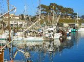 Fishing Morro Bay