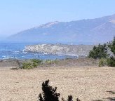 Sand Dollar Beach