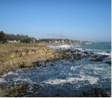 moon stone beach