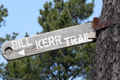 hiking trail cambria, ca