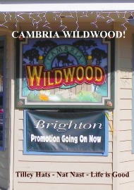 cambria wildwood