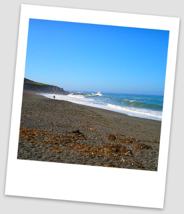 moonstone beach cambria