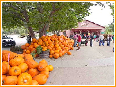 Avila Farms