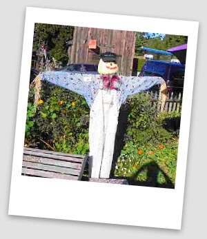 scarecrow harvest festival cambria