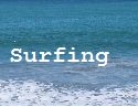surfing central coast